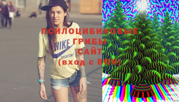 ECSTASY Белокуриха