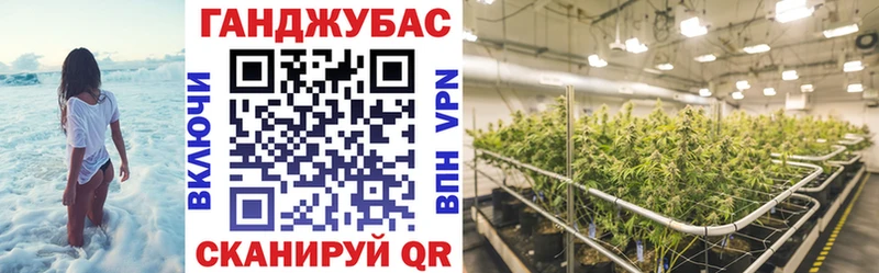 Бошки марихуана THC 21%  гидра tor  Красноперекопск 